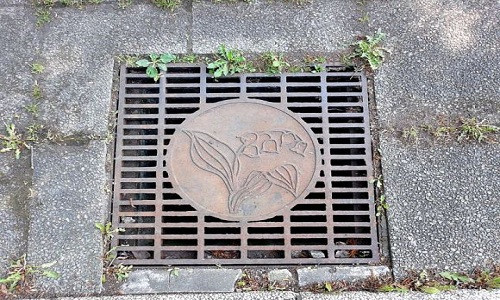 Hirai nhiều lần trốn dưới nắp cống để chụp nội y phụ nữ. Ảnh minh họa: Rocket News 24.