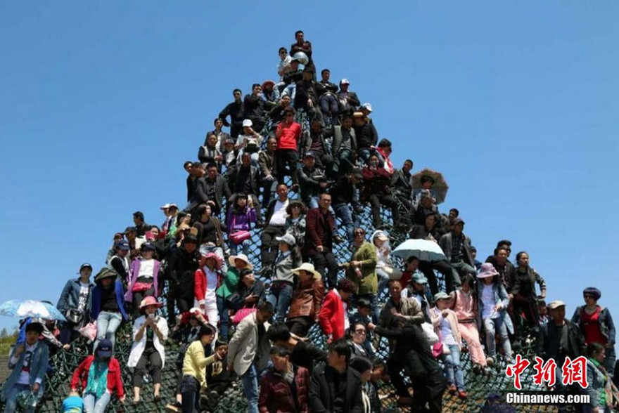 Trèo tường ngắm hoa, 50 du khách thương vong