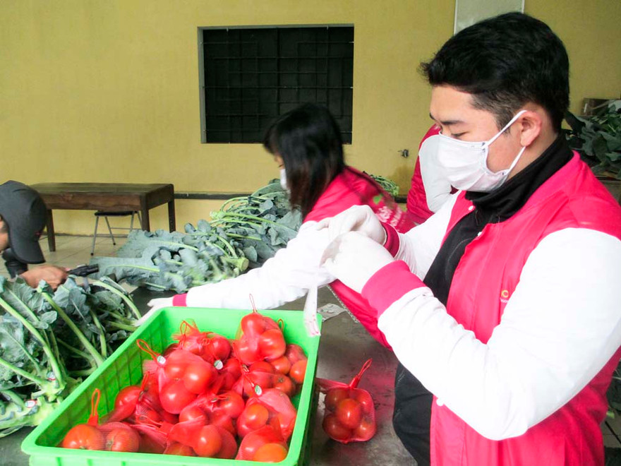 Bán rau sạch online