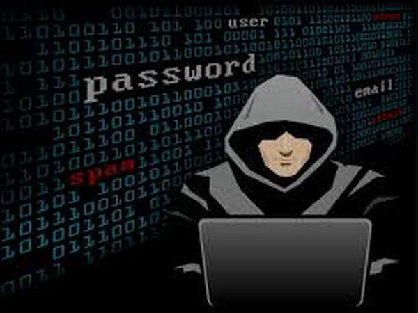 Ảnh minh họa. (Nguồn: charityowl.com) 