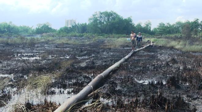 Hiện trường vụ cháy khiến hàng cánh đồng cỏ bị thiêu rụi
