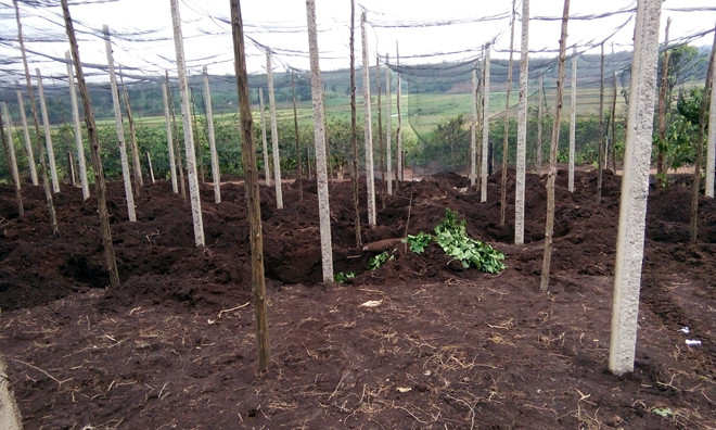 Nơi phát hiện ra quả bom vẫn còn ngòi nổ.