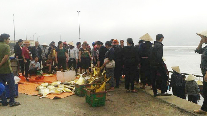 Ngay khi lên bờ, mẻ cá này đã được mua với giá gần 400 triệu đồng.