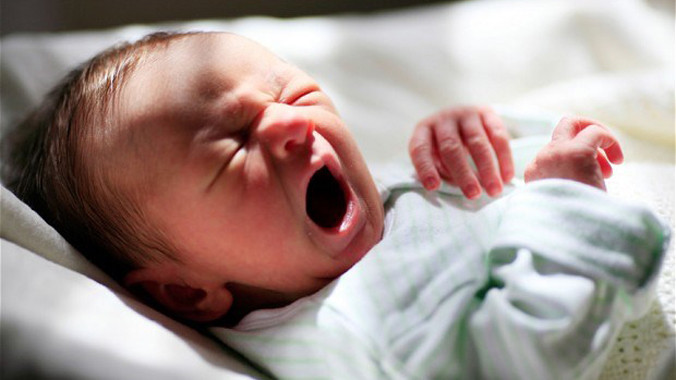 Ảnh minh họa. Nguồn: telegraph.co.uk.