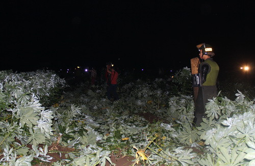 Rẫy khoai mì, nơi phát hiện thi thể nghi can.