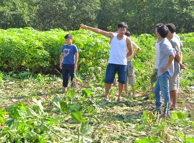 Vườn cây nghi can cố thủ rồi tự sát