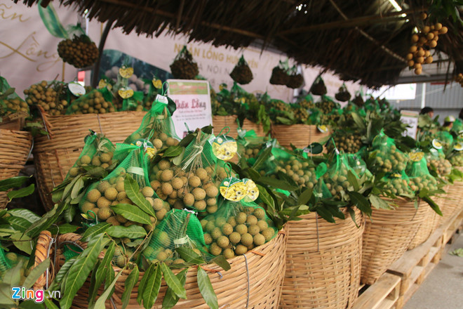Tuấn lễ nhãn lồng Hưng Yên tại Hà Nội dự kiến sẽ tiêu thụ được khoảng 32 tấn