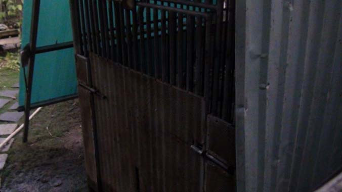 Chuồng nuôi gấu nơi bé D. bị con gấu cắn cánh tay kéo vào trong.