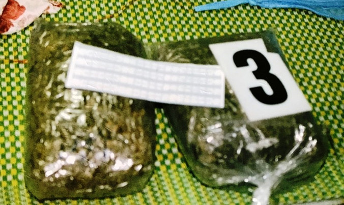 Lượng lớn cần sa mà Tân mua bán, tàng trữ bị công an thu giữ.