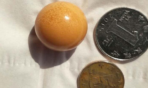 Viên ngọc màu vàng cam to bằng đồng xu. Ảnh: Weibo.