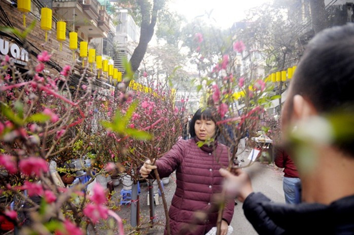 Chợ hoa Tết. Ảnh minh họa