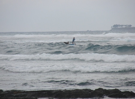 Lực lượng cứu hộ tìm kiếm xác nạn nhân.