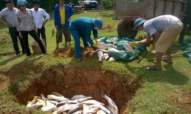 Đào hố chôn cá chết hôm 15/5.