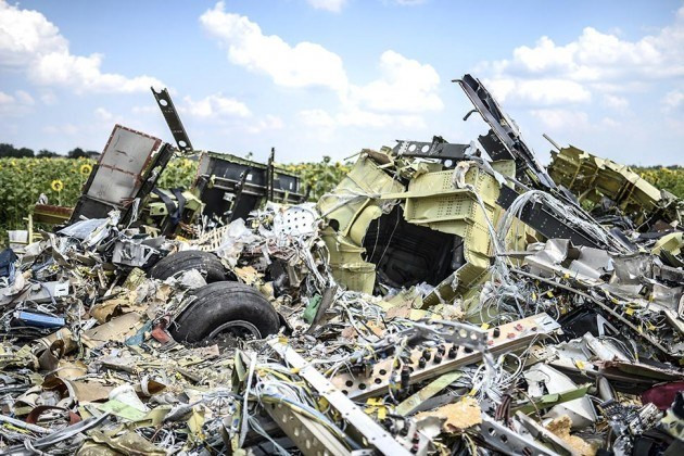 Hiện trường vụ rơi máy bay MH17. (Nguồn: businessweek).