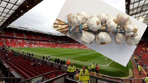 Du khách hít phải mùi tỏi nồng nặc khi tới tham quan sân Old Trafford.