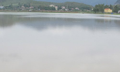 Nhiều cánh đồng ở Hoàng Mai trở thành biển nước. Ảnh: Báo Nghệ An.