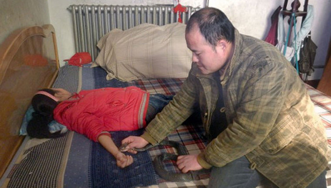 Cha nghèo dùng rắn hổ mang để chữa bệnh cho cô con gái.