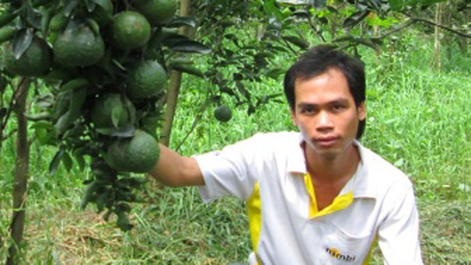 Từ năm học thứ 3, anh Lộc đã "thử sức" với cây cam sành.