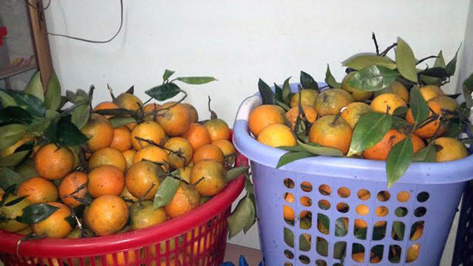 Nhiều chị em giới văn phòng bỏ hàng tỷ đồng để buôn đặc sản bán Tết.