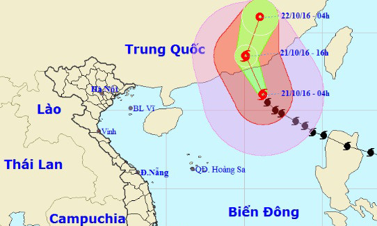Vị trí và dự báo đường đi của cơn bão số 8. Nguồn: Trung tâm dự báo khí tượng thủy văn Trung ương.