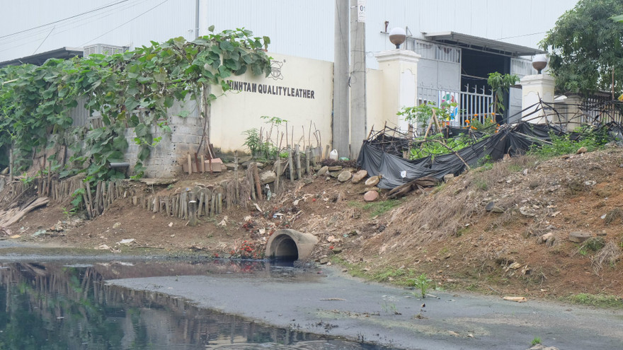 Cận cảnh 'mương chết' nghi đầu độc hàng chục ha rau sạch