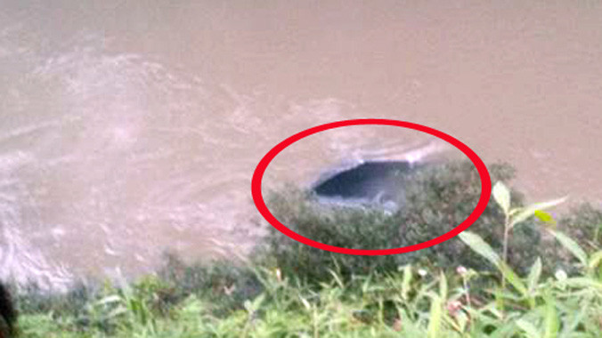 Chiếc xe bị chìm dưới suối và chỉ hở phần nóc. Ảnh. Vũ Tài.