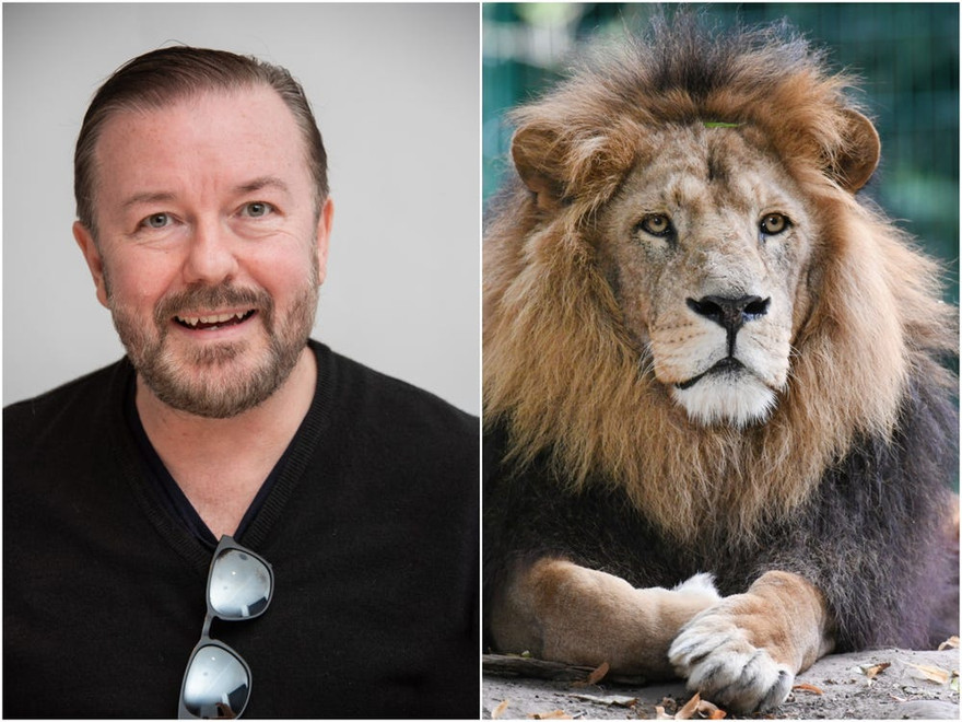 Tài tử Anh mong được 'trở thành bữa ăn cho sư tử' sau khi chết gây sốc