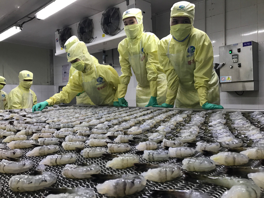 Việt Nam đi tìm con đường tăng trưởng mới 