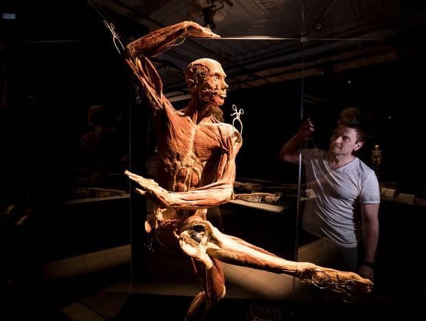 Xác chết nhảy múa trong triển lãm Body Worlds Vital. 