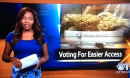 Greene dùng lời lẽ khiếm nhã trong phóng sự cô làm về câu lạc bộ cần sa ở Alaska. Ảnh chụp từ video.