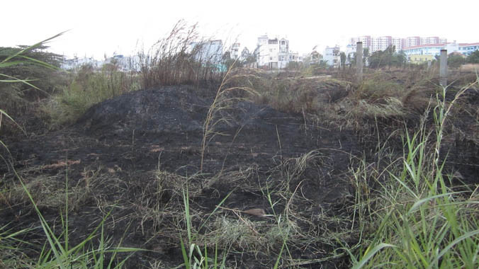 Bãi có rộng hàng nghìn m2 bị cháy rụi.