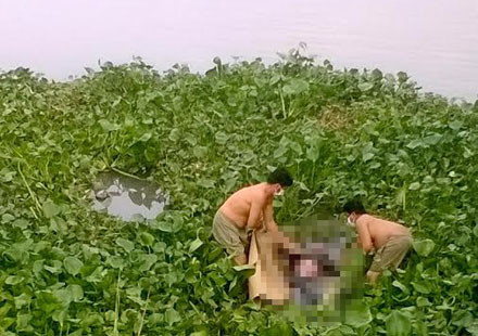 Nơi phát hiện ra thi thể nam thanh niên.