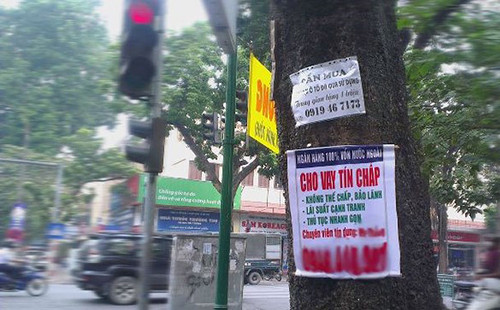 Quảng cáo cho vay tiêu dùng với những điều kiện dễ dàng được dán ở nhiều gốc cây, cột điện. Ảnh: H.T 