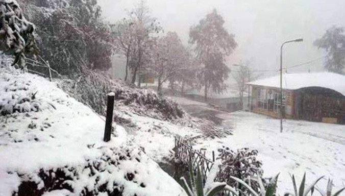 Ảnh minh họa: Internet.