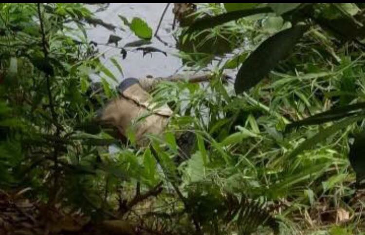 Nơi thi thể anh Sương được phát hiện.