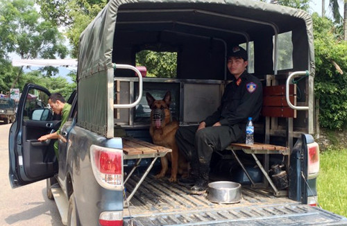 Cảnh sát cùng chó nghiệp vụ truy lùng hai nghi can trốn trong rừng suốt đêm qua