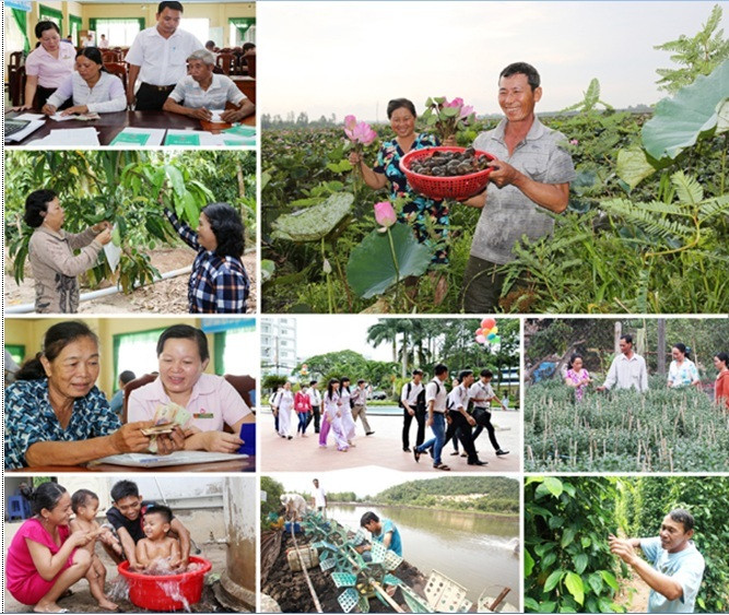 Tín dụng chính sách vùng Tây Nam Bộ hái trái ngọt sau 5 năm