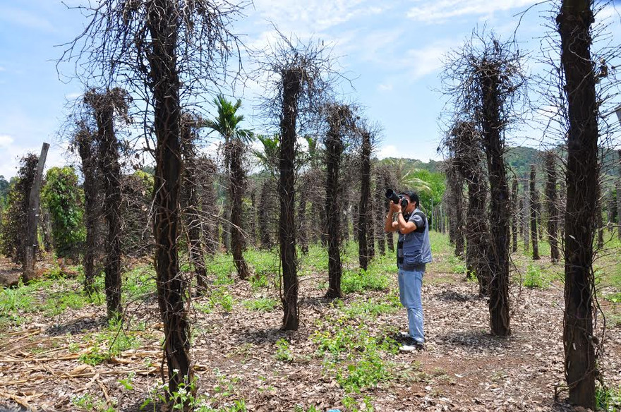 Kiến nghị Chính phủ cho điều tra diện rộng về phân bón