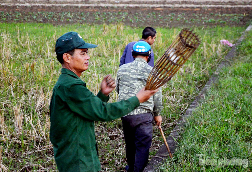 Theo những thợ săn chuột thì họ bắt chuột quanh năm, nhưng nhộn nhịp nhất là vào tháng 9 đến tháng 12 (Âm lịch). Thời điểm này, nước sông cạn nên chuột đào hang nhiều và cũng là lúc vụ mùa thu hoạch xong, chuột thường béo và ngon hơn.