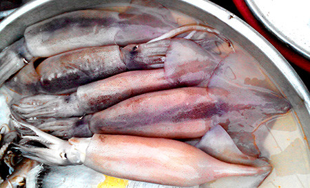 Loại mực đang bán với giá rẻ trên thị trường được cơ quan chức năng xác định là nhập khẩu từ các nước Hàn Quốc, Đài Loan và Indonesia