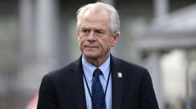 Cố vấn Nhà Trắng Peter Navarro. (Ảnh: Reuters)