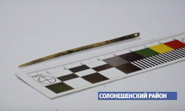 Cây kim được làm từ xương chim và dài 7,6cm.