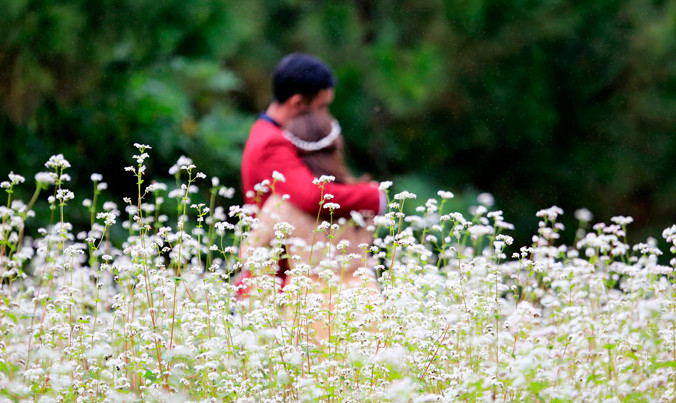 Đẹp như cổ tích.