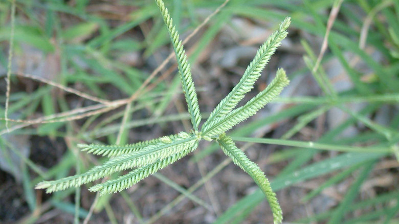 Bí quyết giữ cho thận luôn khỏe