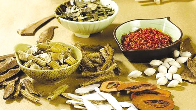 Đông dược trong điều trị thiếu máu não