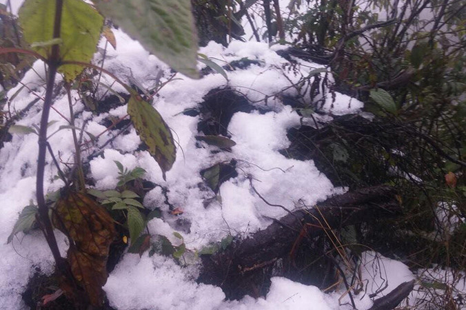 Hình ảnh mưa tuyết phủ trắng tại đỉnh Phan Si Păng vào sáng 12/1/2018.