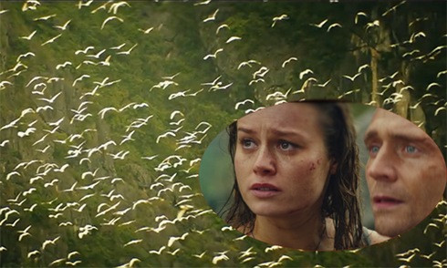 Cò trắng bay rợp trời Ninh Bình trong bom tấn 'Kong: Skull Island'