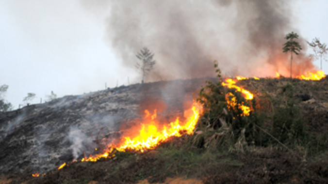 Ảnh minh họa: Internet.