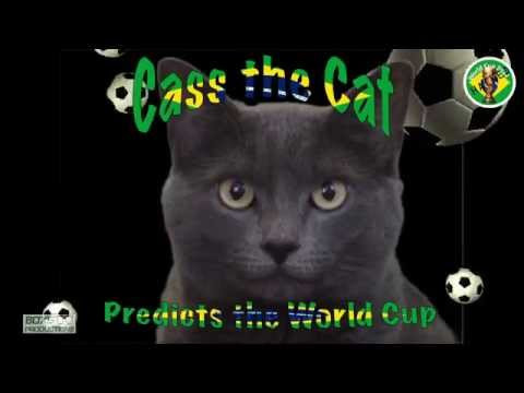 Mèo đen đoán Argentina thua Thụy Sỹ, Mỹ vượt Bỉ