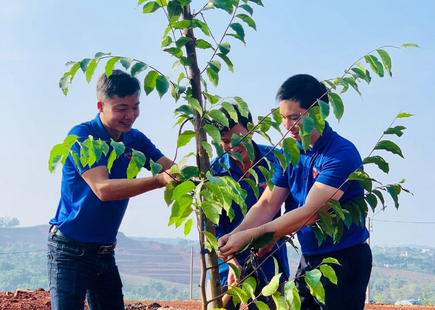 Tuổi trẻ Đắk Nông hưởng ứng phong trào trồng cây xanh